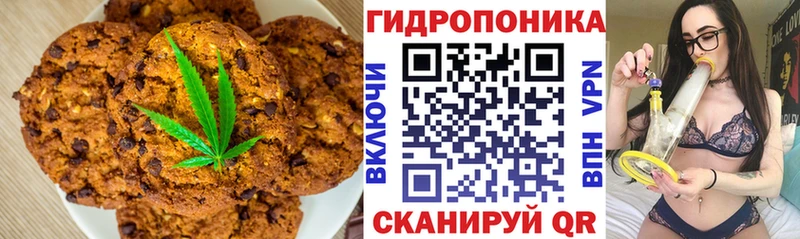 где купить   Избербаш  Canna-Cookies конопля 