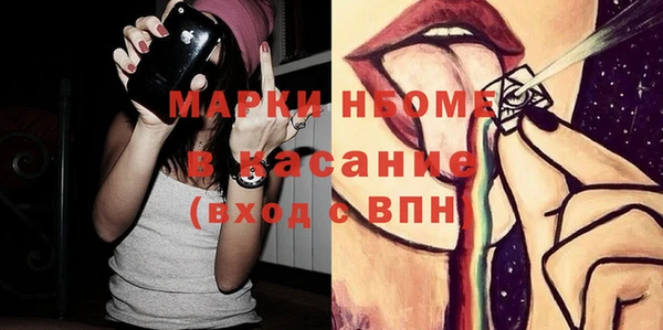 твердый Дмитровск