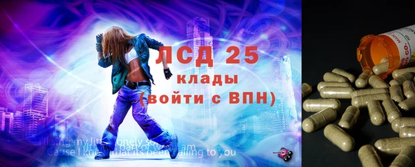 трава Чердынь