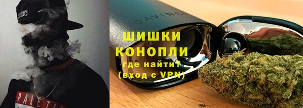 твердый Дмитровск