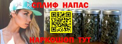 мяу мяу мука Гатчина