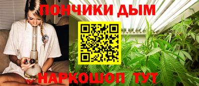 мяу мяу мука Гатчина