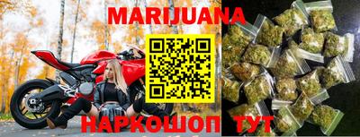 мяу мяу мука Гатчина