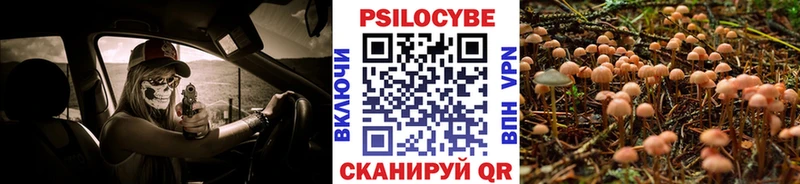 хочу   Избербаш  Псилоцибиновые грибы Magic Shrooms 