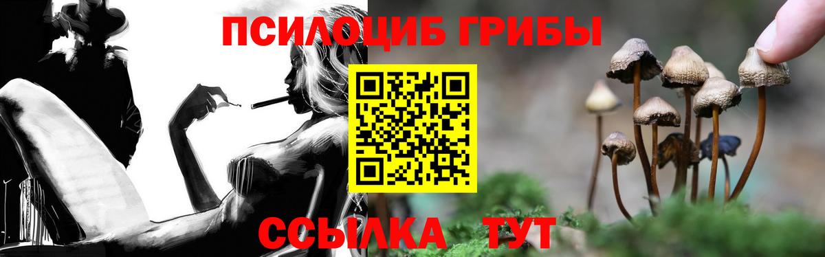 Галлюциногенные грибы MAGIC MUSHROOMS Избербаш