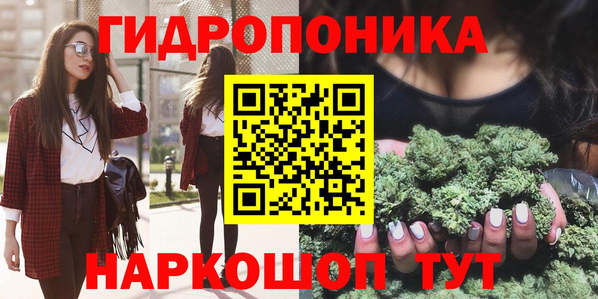 Шишки марихуана гибрид Избербаш